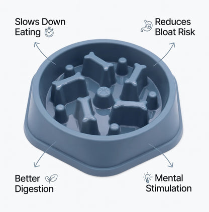 SlowFeeder™ Non-Slip Slow Feeding Dog & Cat Bowl – Reduces Bloat & Fast Eating