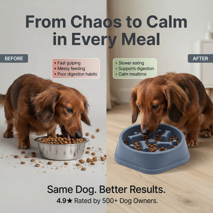 SlowFeeder™ Non-Slip Slow Feeding Dog & Cat Bowl – Reduces Bloat & Fast Eating
