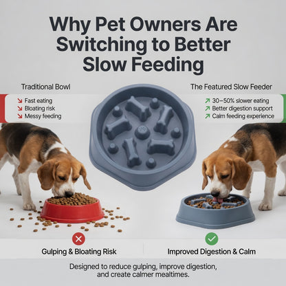 SlowFeeder™ Non-Slip Slow Feeding Dog & Cat Bowl – Reduces Bloat & Fast Eating