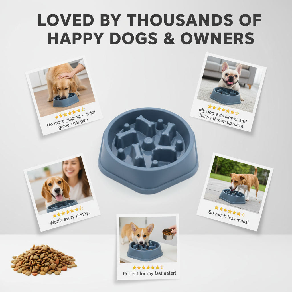 SlowFeeder™ Non-Slip Slow Feeding Dog & Cat Bowl – Reduces Bloat & Fast Eating