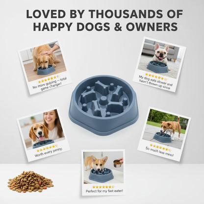 SlowFeeder™ Non-Slip Slow Feeding Dog & Cat Bowl – Reduces Bloat & Fast Eating